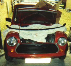 mini front painted